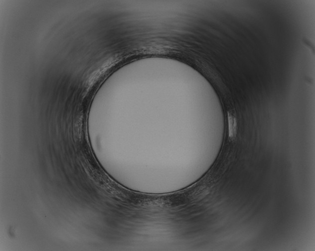 X0000103280675200809261226