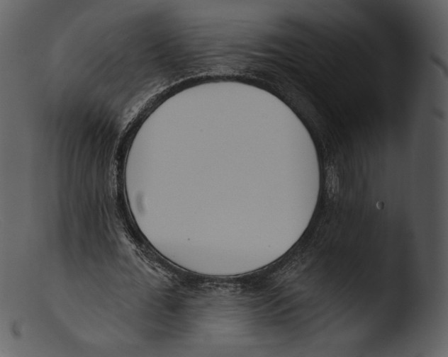 X0000103280676200809261226