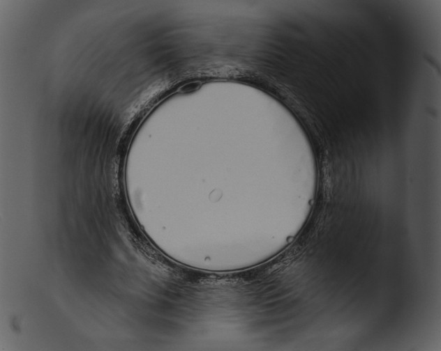 X0000103280679200809261226