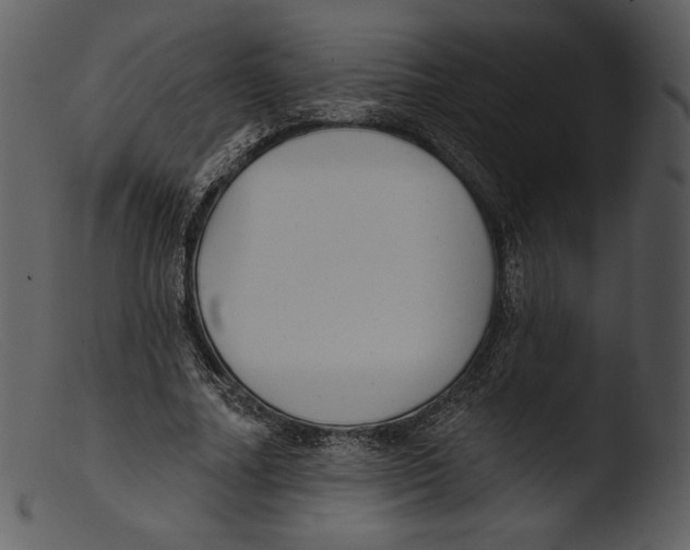 X0000103280682200809261226