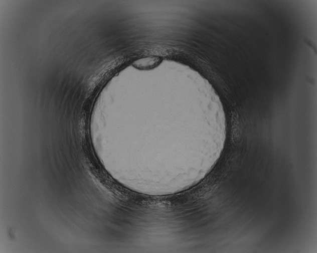 X0000103280683200809261226