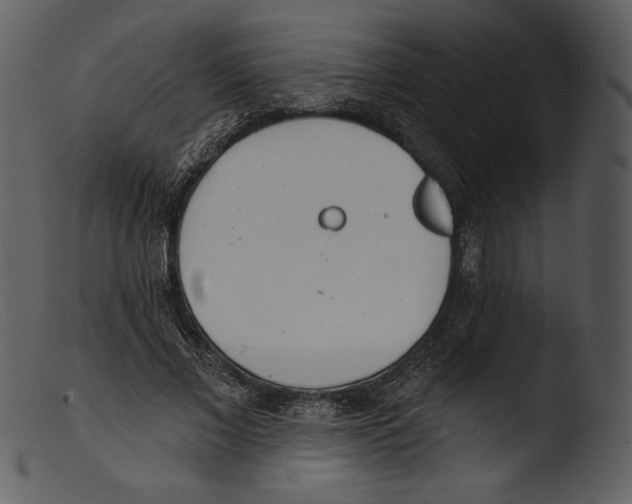 X0000103280685200809261226