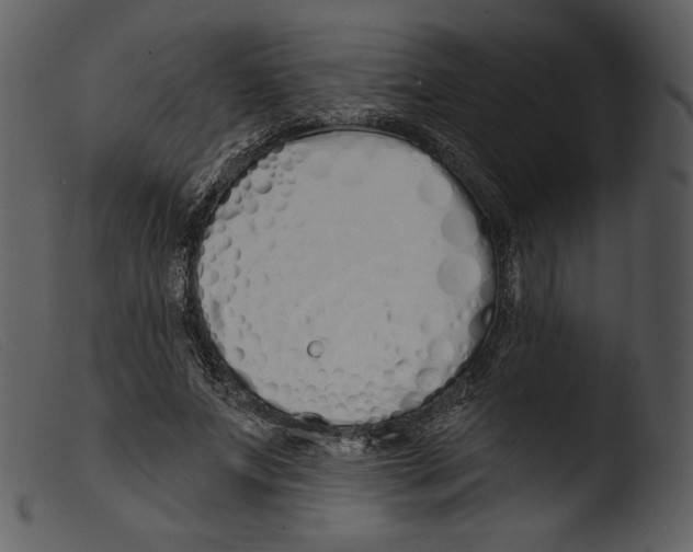 X0000103280687200809261226