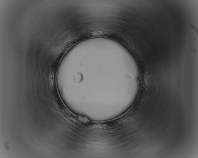 X0000103280691200809261226