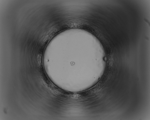 X0000103280695200809261226