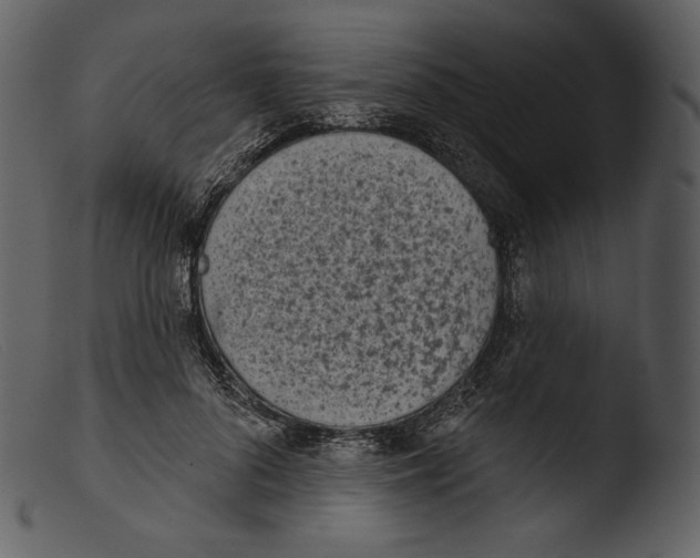 X0000103280696200809261226