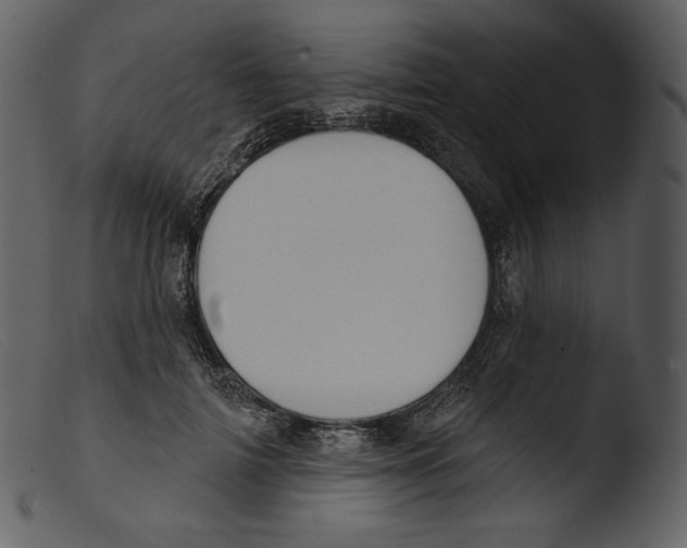 X0000103280698200809261226