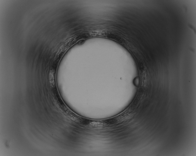 X0000103280699200809261226