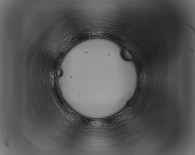 X0000103280703200809261226