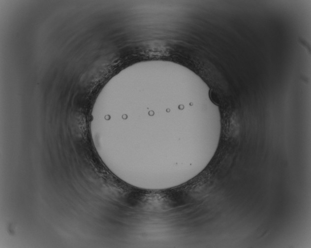 X0000103280704200809261226