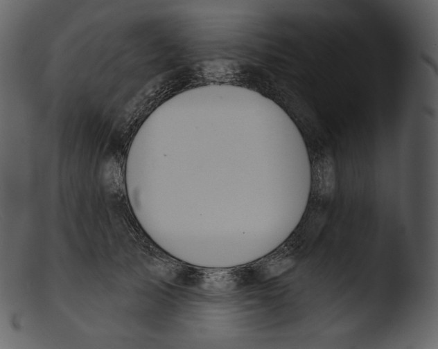 X0000103280705200809261226