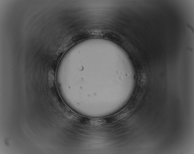 X0000103280707200809261226