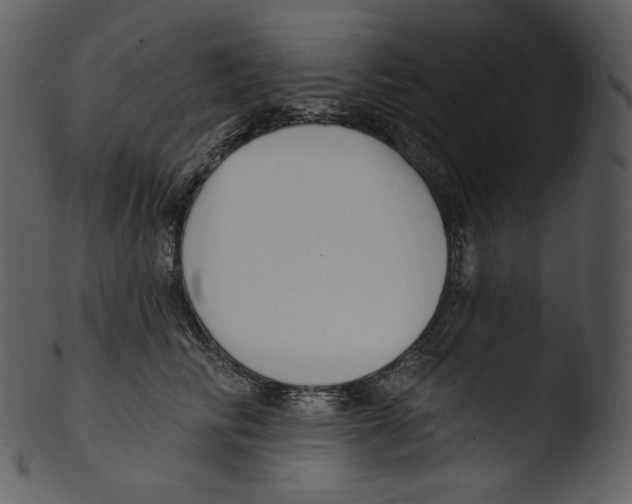 X0000103280710200809261225