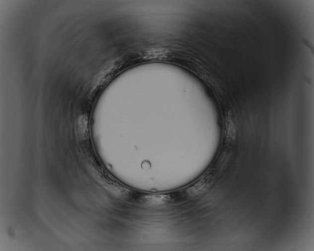 X0000103280711200809261225