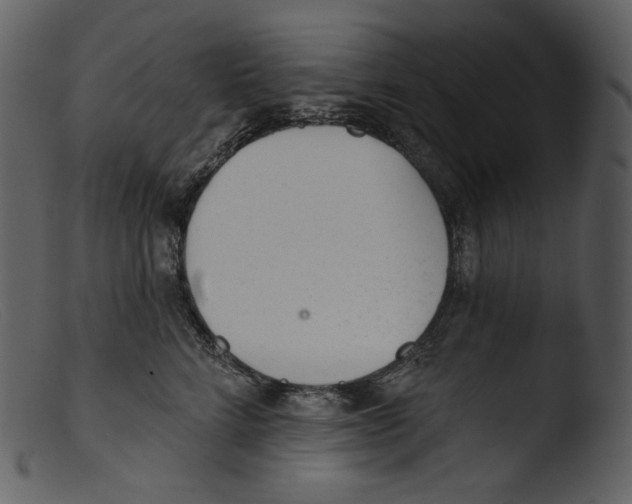 X0000103280712200809261225