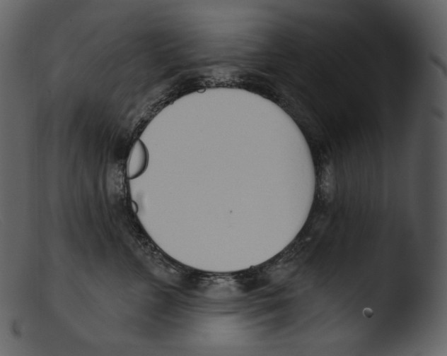 X0000103280715200809261225