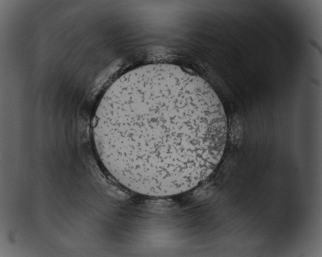 X0000103280716200809261225