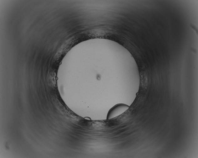 X0000103280718200809261225