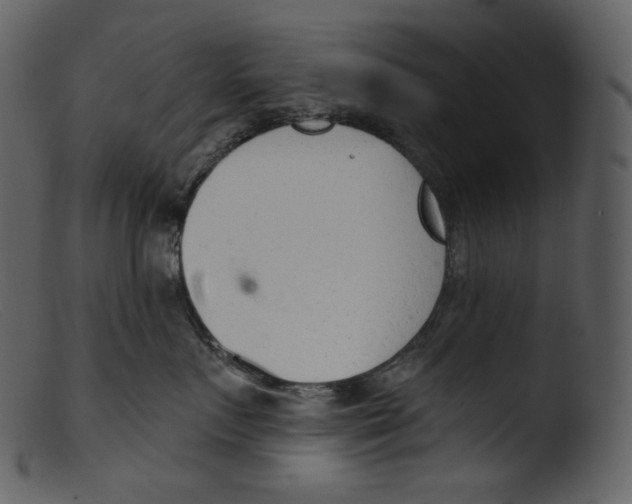 X0000103280719200809261225