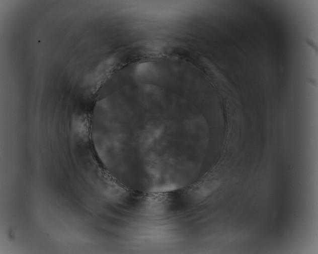 X0000103280720200809261225