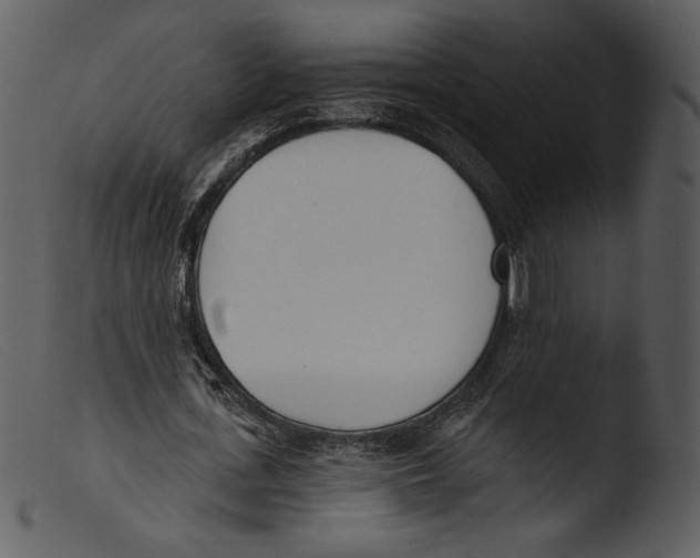 X0000103280723200809261225