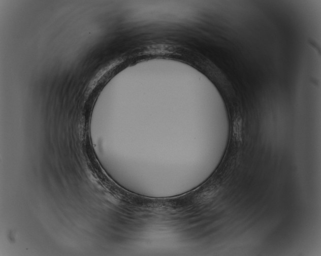 X0000103280724200809261225