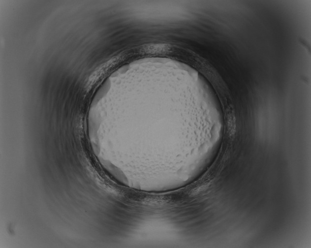 X0000103280725200809261225