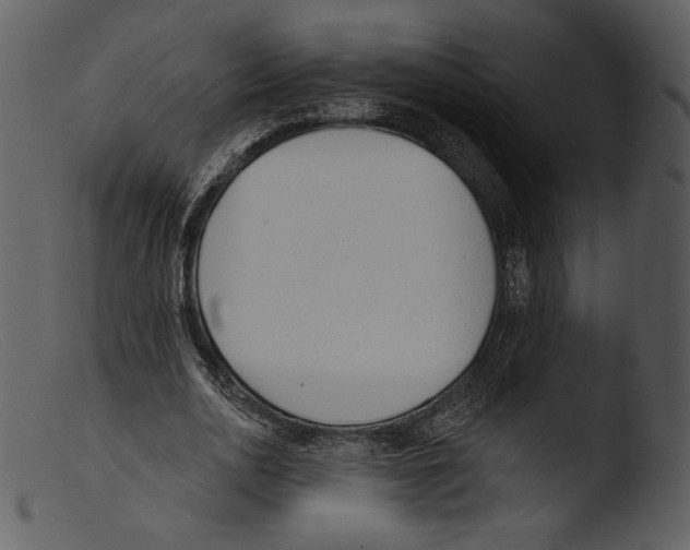 X0000103280726200809261225