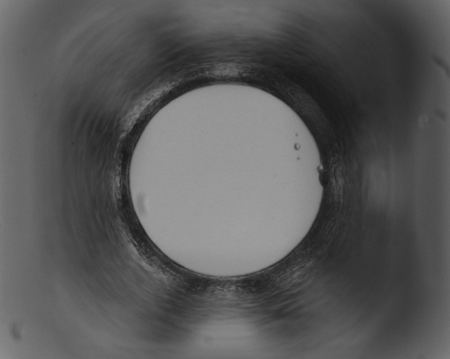 X0000103280728200809261225