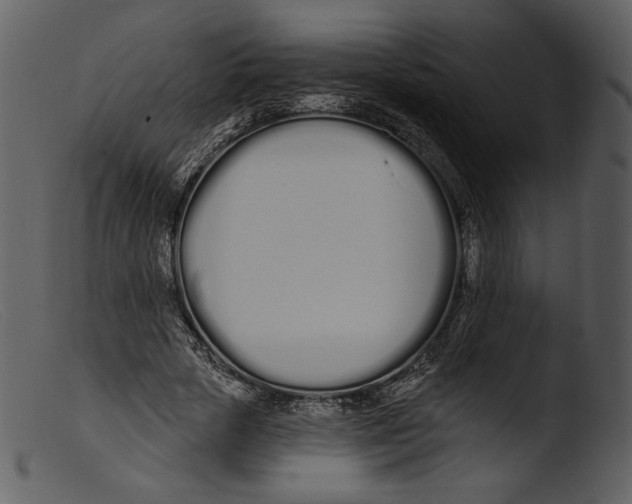 X0000103280729200809261225