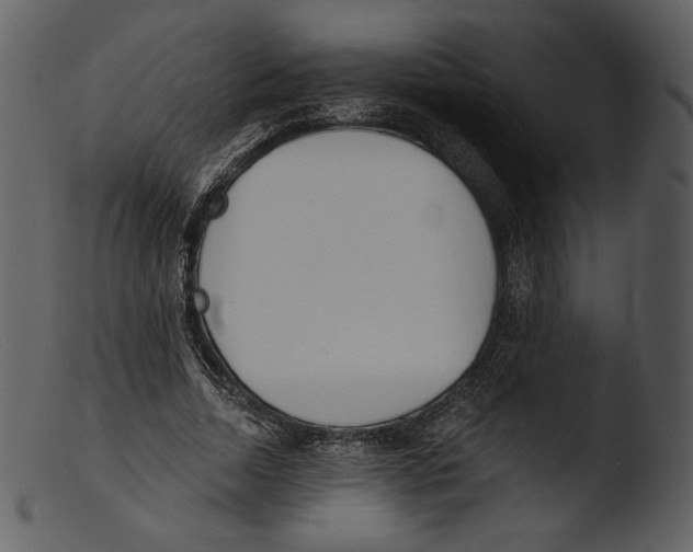 X0000103280730200809261225