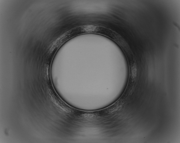 X0000103280733200809261225