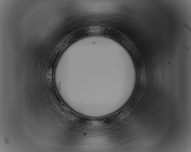 X0000103280737200809261225