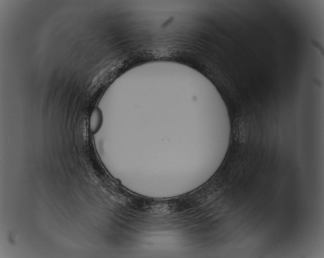 X0000103280740200809261225