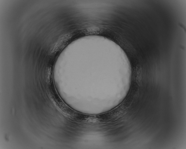 X0000103280742200809261225