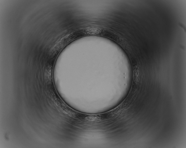 X0000103280745200809261225