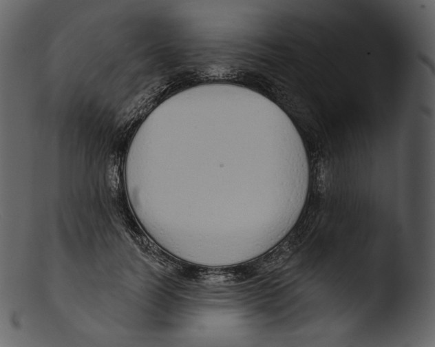 X0000103280746200809261225