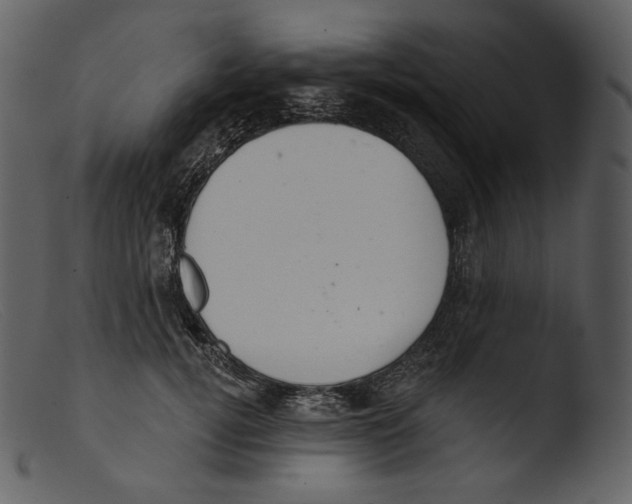 X0000103280752200809261225