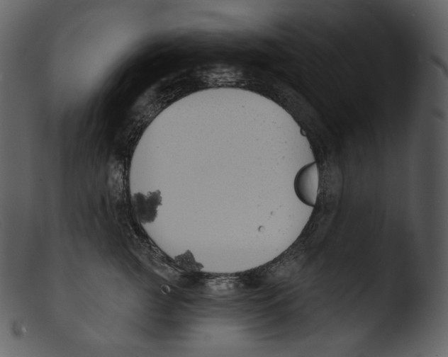 X0000103280761200809261225