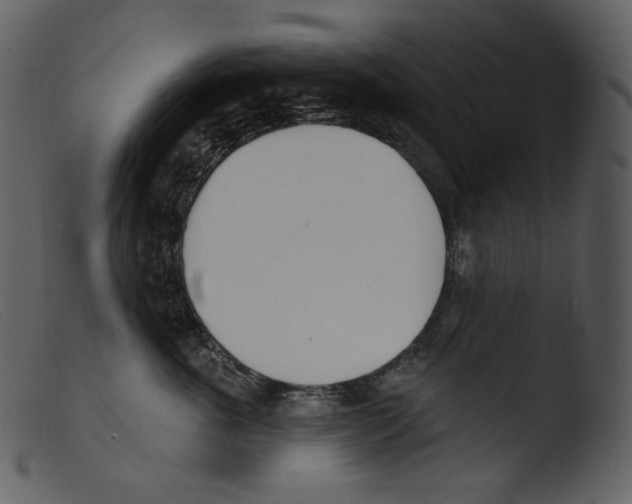 X0000103280763200809261225