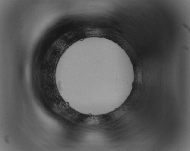 X0000103280764200809261225