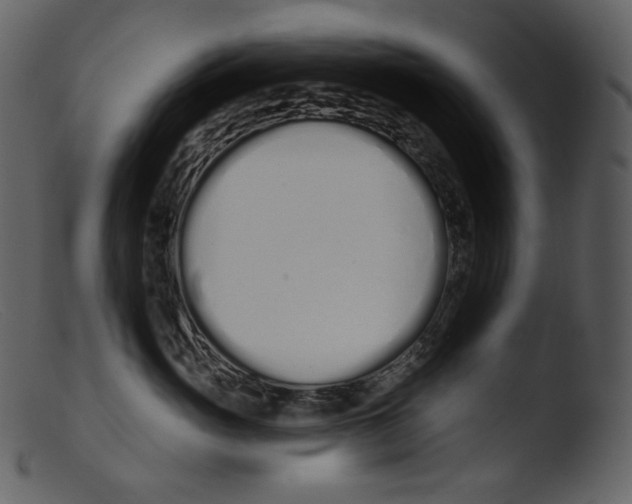 X0000103280765200809261225