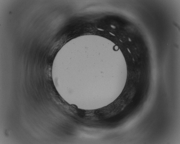 X0000103280766200809261225