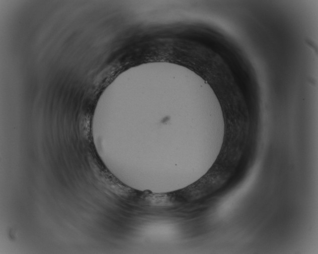 X0000103280767200809261225