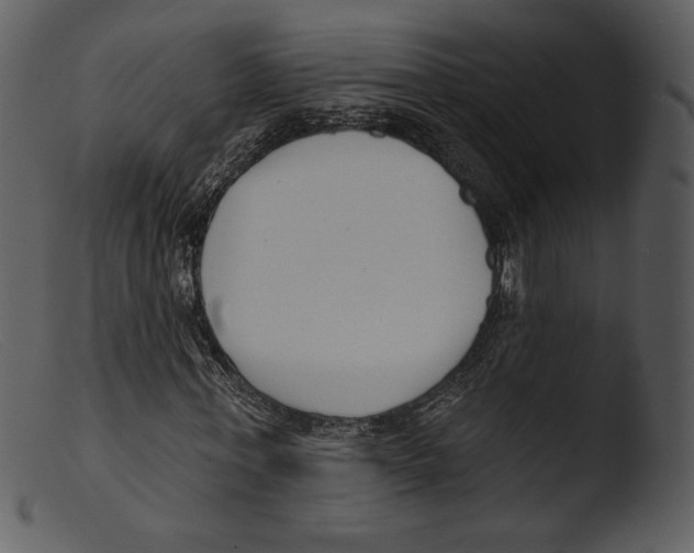 X0000103280771200809261225