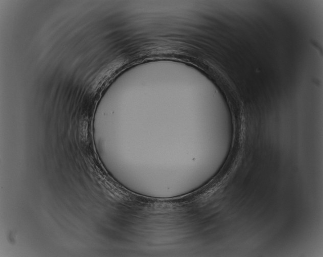 X0000103280777200809261225