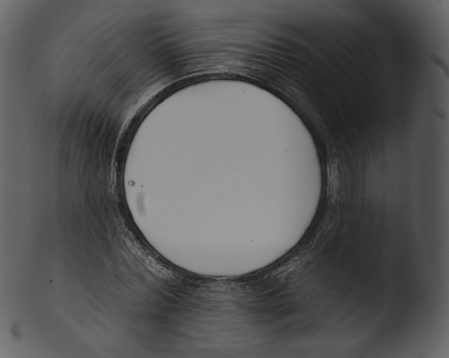 X0000103280780200809261225