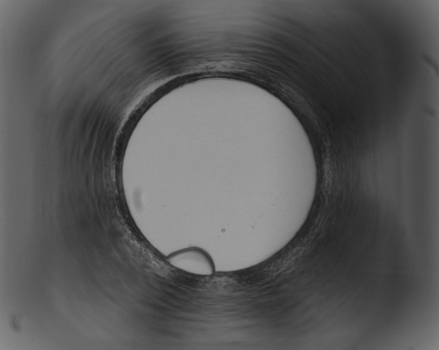 X0000103280784200809261224