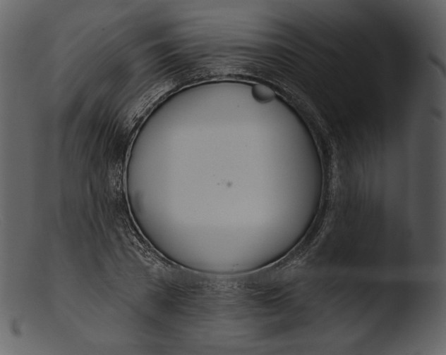 X0000103280785200809261224