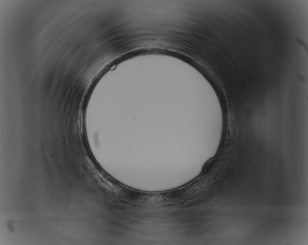 X0000103280791200809261224